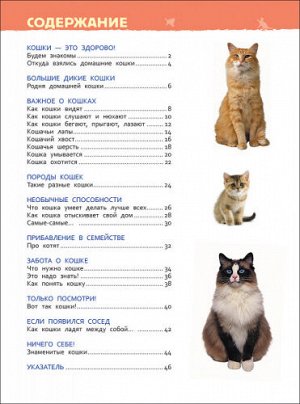 Кошки и котята (Артикул: 36823)