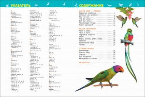 Птицы (Артикул: 50073)