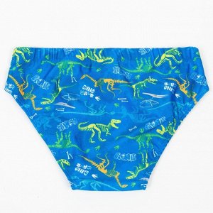 Плавки купальные для мальчика, цвет синий/динозавры, рост