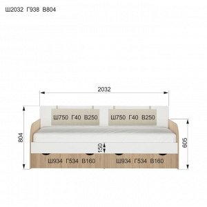 Кровать-тахта «Кот 900.4», 2000 х 900 мм, без подушек, цвет туя светлая / белый