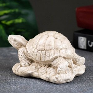 Статуэтка "Черепаха на камне" слоновая кость, 8х7х6см