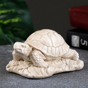 Статуэтка "Черепаха на камне" слоновая кость, 8х7х6см