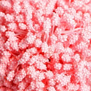 Тычинки для цветов "Капельки пузырьковые коралловые" 4х7 мм набор 700 шт длина 6,5 см
