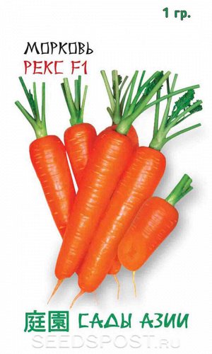 Морковь "Рекс"