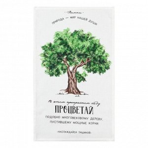 Набор кухонных полотенец Доляна «Процветай», 35х60см-2шт, 100% хл