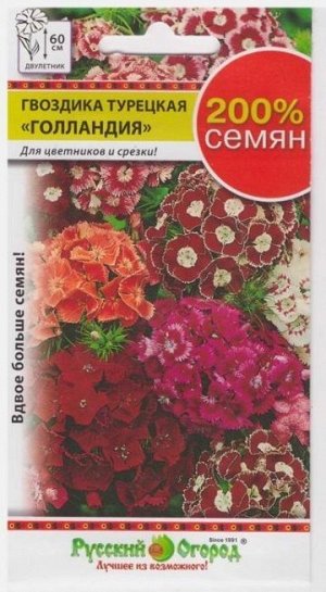 Гвоздика Турецкая Голландия (Код: 381)