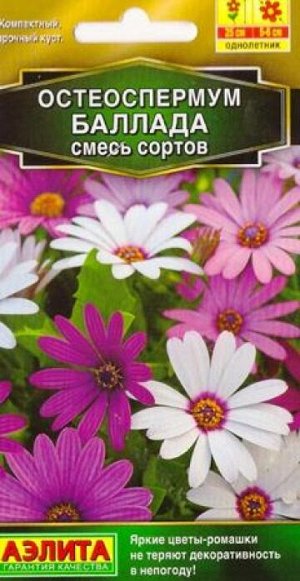 Остеоспермум Баллада (Код: 87676)
