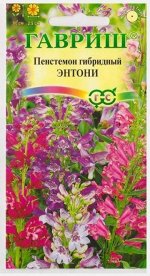 Пенстемон Энтони (Код: 72077)