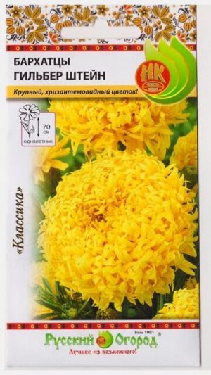 Бархатцы Гильбер Штейн (Код: 13824)