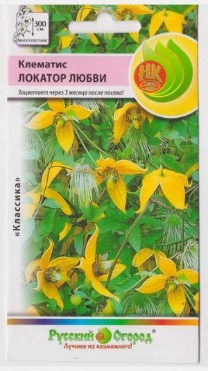 Клематис Локатор Любви (Код: 958)