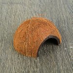 Скорлупа кокосовая 1/2, для рептилий и грызунов, L