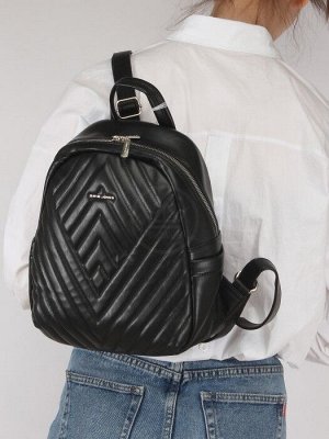 Рюкзак жен искусственная кожа DJ-6724-4,  BLACK,  1отд,  3внут+2внеш/ карм,  черный 245520
