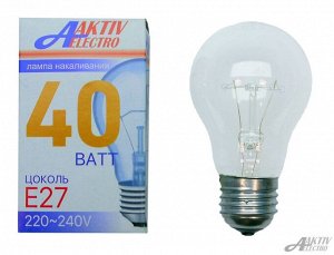 Лампа накаливания Б-230 40Вт E27(цена за 10 шт.)