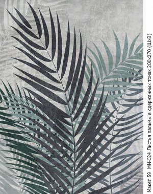 Фотообои Листья пальмы в сдержанных тонах