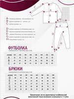 Пижама для мальчиков арт 11431