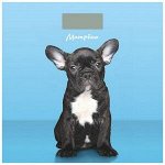 ВЕСЫ НАПОЛЬНЫЕ МАТРЕНА МА-090 (180КГ) СОБАКА (007296)