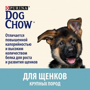 Сухой корм DOG CHOW PUPPY LARGE BREED для щенков крупных пород, индейка, 14 кг