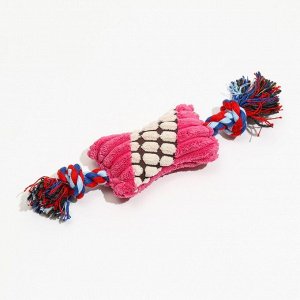 Игрушка мягкая для собак «Особая кость на канате», с пищалкой, 25 см, микс цветов