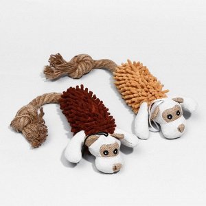 Игрушка мягкая для собак «Пёс» с пищалкой и канатом, 39x11 см, коричневая