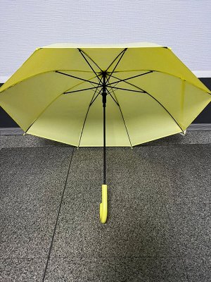 Зонтик трость  постельные тона