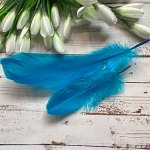 Перья декоративные 14-18см 10шт