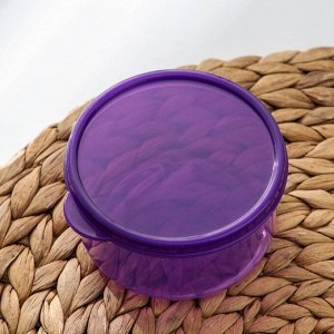 Контейнер круглый Доляна, пищевой, 300 мл, цвет фиолетовый