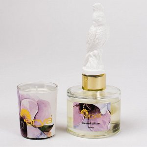 Подарочный сет арома Arya White Tea& Ginger