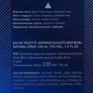Туалетная вода мужская Domenico&Gusto Deep Blue, 100 мл