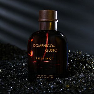 Туалетная вода мужская Domenico&Gusto Instinct, 100 мл