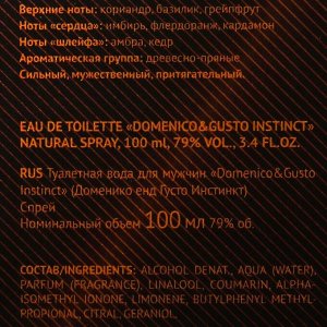 СИМА-ЛЕНД Туалетная вода мужская Domenico&amp;Gusto Instinct, 100 мл