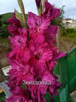 Звездопад 2 разбор.