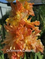 Осенняя Сказка 2 разбор.