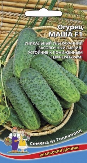 Огурец Быстренок F1 (Аэлита)
