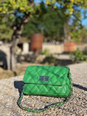 Сумка с цепочкой PELLE · COCO · (450) Encina
