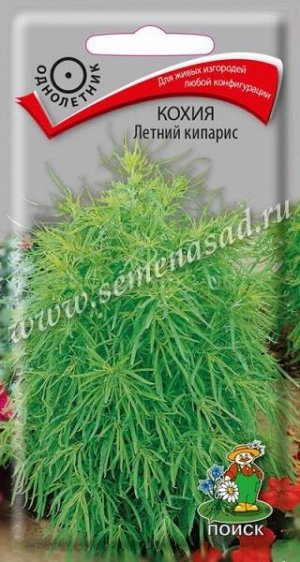 Кохия Летний кипарис (одн) (П)