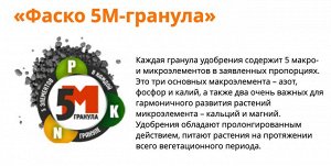 Картофель 3кг Фаско 1/10