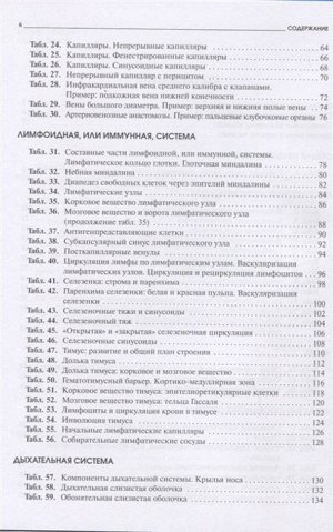 Радивой Крстич: Атлас микроскопической анатомии человека. Учебное пособие