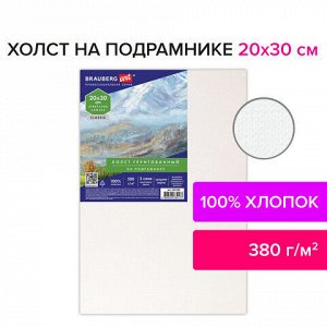 Холст на подрамнике 20х30 см, 380 г/м2, грунтованный, 100% хлопок, BRAUBERG ART, 192194