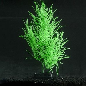 Растение силиконовое аквариумное, светящееся в темноте, 9 х 20 см, зелёное
