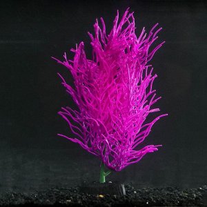 Растение силиконовое аквариумное, светящееся в темноте, 9 х 20 см, фиолетовое
