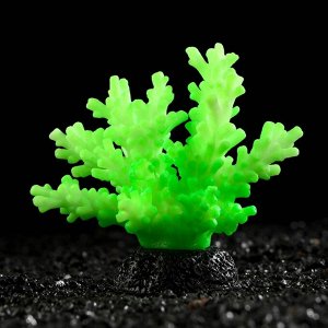 Декоративный коралл "Акропора" силиконовый, светящийся, 7,5 х 9 см, зелёный 7108846