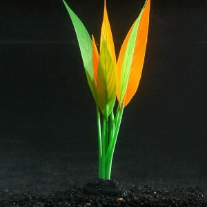 Растение силиконовое аквариумное, светящееся в темноте, 12 х 20 см, зелёно-оранжевое