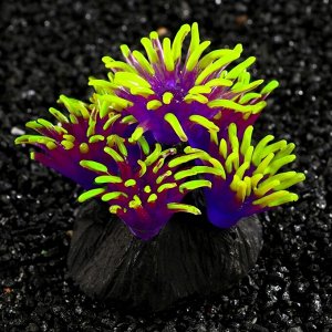 Декор для аквариума коралл Pyrostegia Ignea силиконовый, 8 х 8 х 9 см, фиолетовый 7108835