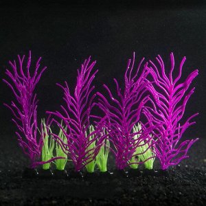 Растение силиконовое аквариумное, светящееся в темноте, 17 х 12 см, фиолетовое 7108765