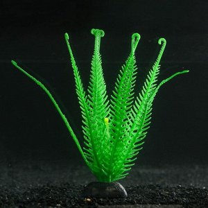 Растение силиконовое аквариумное, светящееся в темноте, зелёное, 10.5 х 18 см