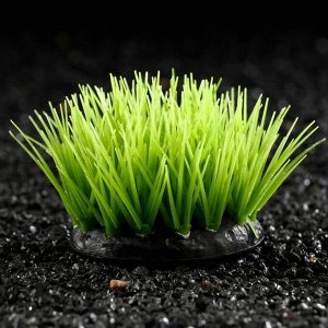 Растение силиконовое аквариумное, светящееся в темноте, зелёное, 16 х 11 см 7108790