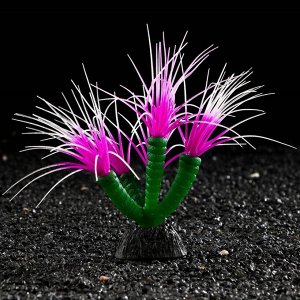 Декор для аквариума Coral Plant силиконовое, светящееся в темноте, 14 х 17 см, фиолетовый 7108852