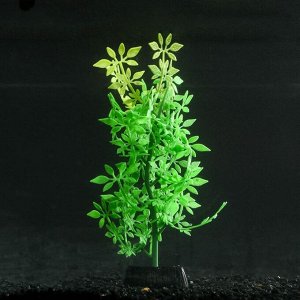 Растение силиконовое аквариумное, светящееся в темноте, 8 х 19 см, зелёное