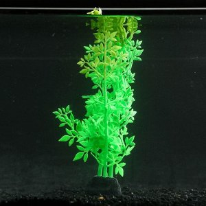 Растение силиконовое аквариумное, светящееся в темноте, 8 х 24 см, зелёное 7108809