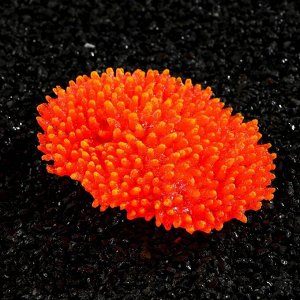 Декор для аквариума "Коралл" силиконовый, светящийся в темноте, 10 х 4,5 см, красный 7108853